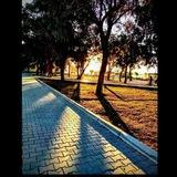 كلية الأقتصاد🎓🖋.