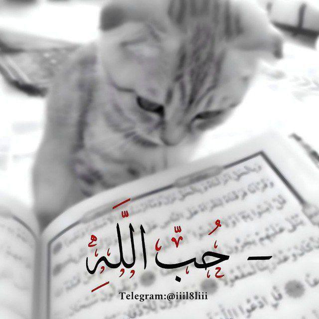 ﮼حُبّ اللَّه ᨳ.