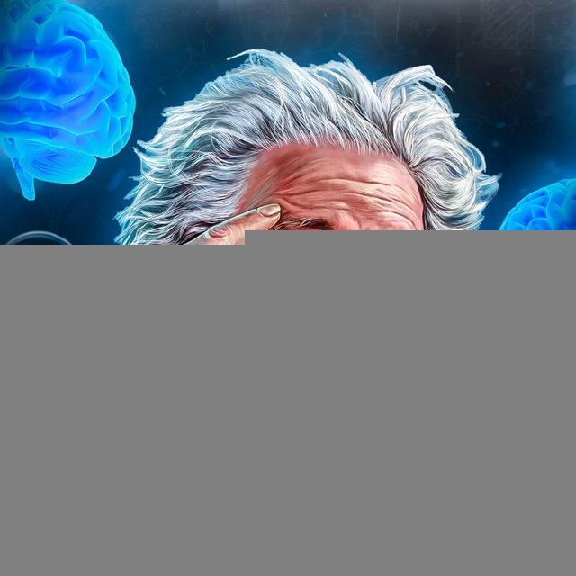 Факториум 🧠