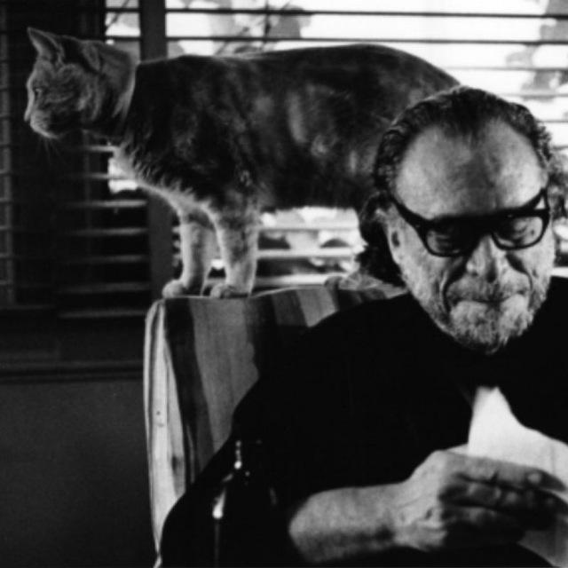 Charles Bukowski Latino📚