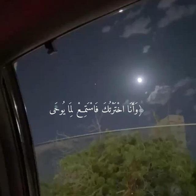 آية استوقفتني