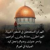 د. عبد الرحمن زكي حمد (أبو عبد الله)
