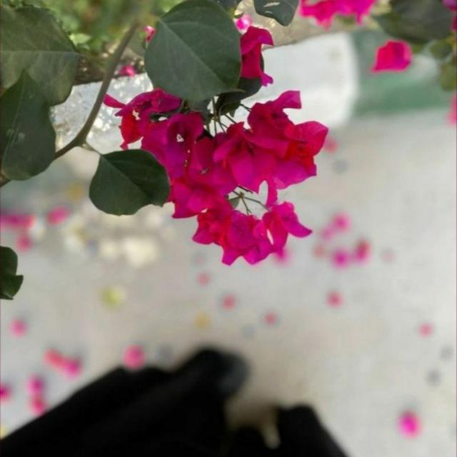 🎀لــ أم توليــن غفر الله لها ولوالديها"🎀🌙