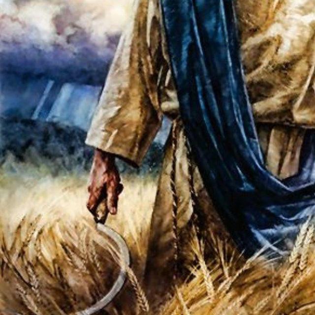 The Rising Harvest
