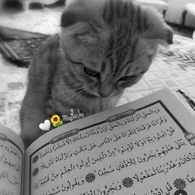طمأنينة 🫂☁️
