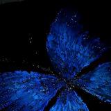مَوَدَّةً☁️🦋
