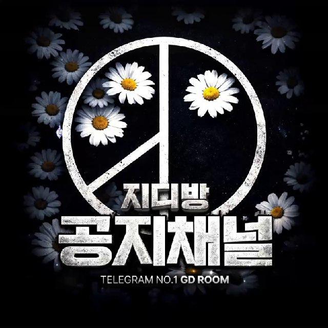 지디 꽁머니 정보