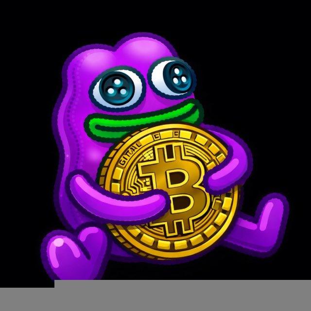 WCH | Whale Crypto Hub