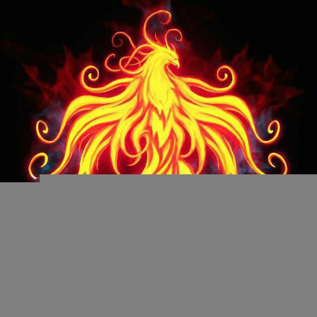 دوره پرواز ققنوس