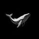 Nordwhale Capital