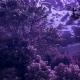 ᯓ𝁘ໍ𓆰𝑶𝒕𝒑 𝑼𝒑𝒅𝒂𝒕𝒆𝒔𓆩💜𓆪ꪾ⇢