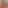 SophieRain OF