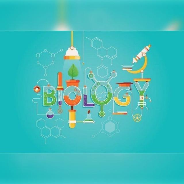 😍Biology Diagram🫀