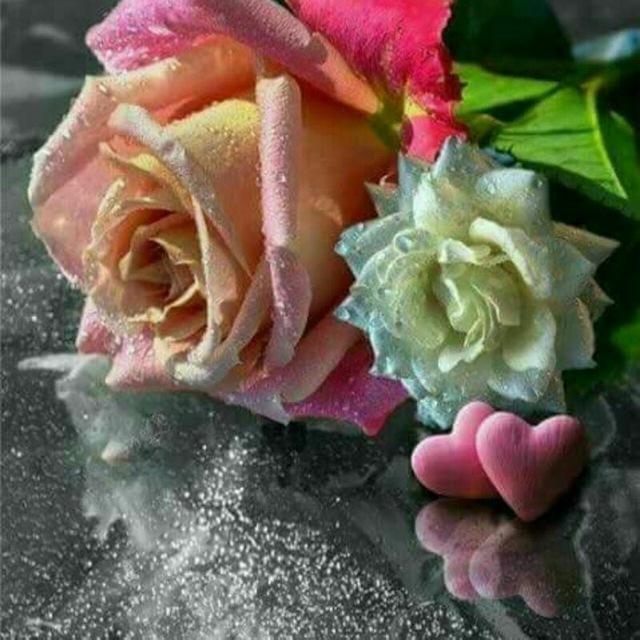 🌿🌸صور أزهار و عبارات راقية 🌸🌿