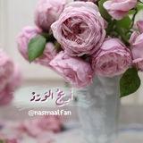 أَرِيجُ الوَرّدْ 🌷