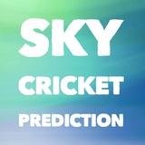 Sky Cricket Prediction
