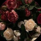 رَغــد قـاسِـم.