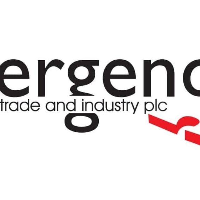 Ergendo Trade & Industry Plc