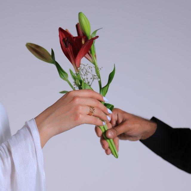 بِيسَانْ.
