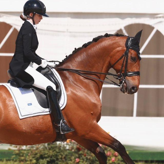 liza_dressage