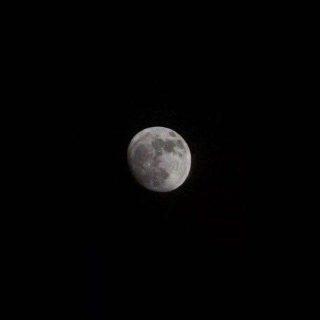 Moon✨️