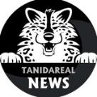 TaniDaReal - Art & News Channel