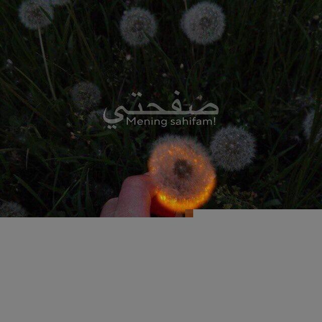*Safhati | صفحتي