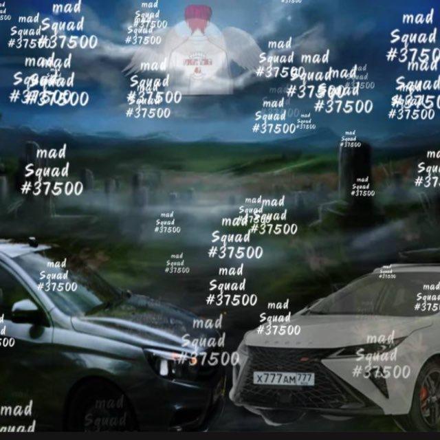 Madsq #37500