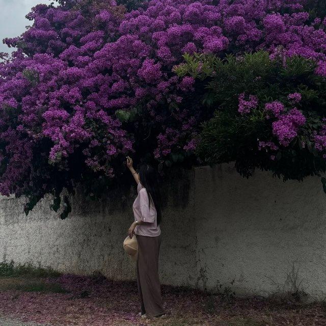 about ghazal𐬺✧
