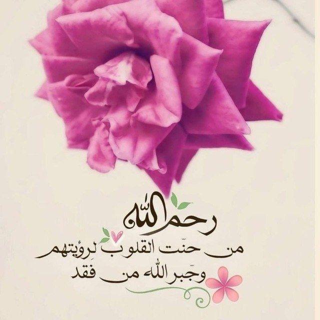قناة دنيا سارة سلفيه