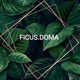 Фикус дома🌿 озеленение🌿 уход за растениями