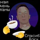 ДОК МЕМНЫЙ
