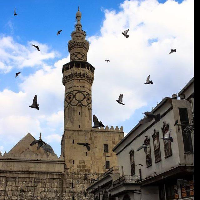 حُرُوفٌ دِمَشقِيَّة ..!🌸