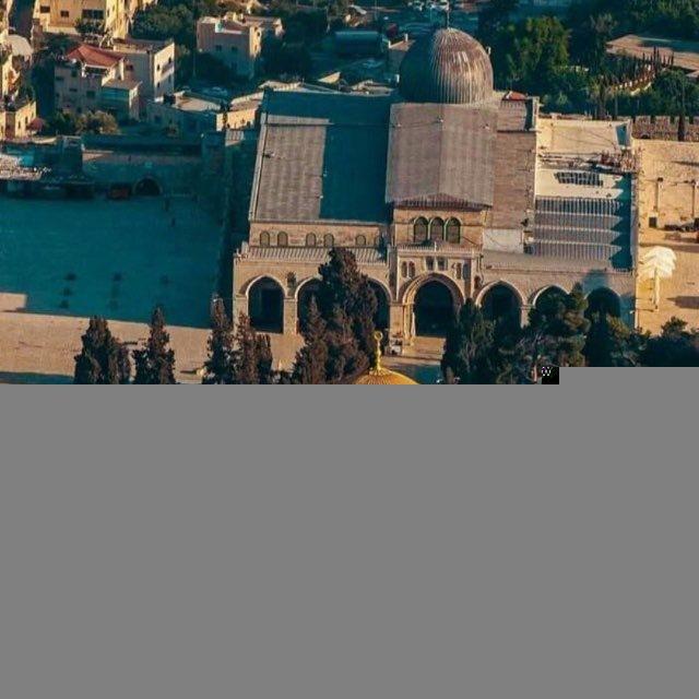 Palestine 𓂆 فلسطين