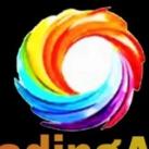 Colour Trading Game
