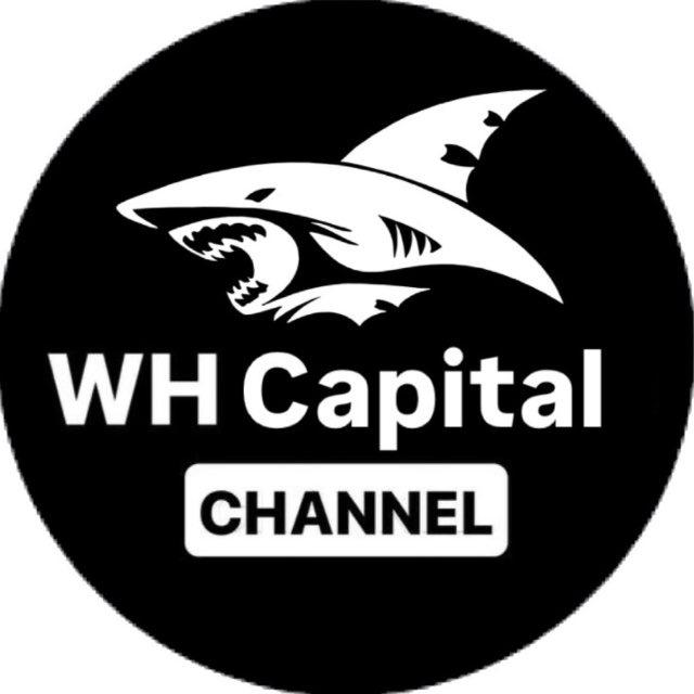 WH Capital🦈