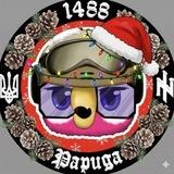 Papuga 2.0🔺