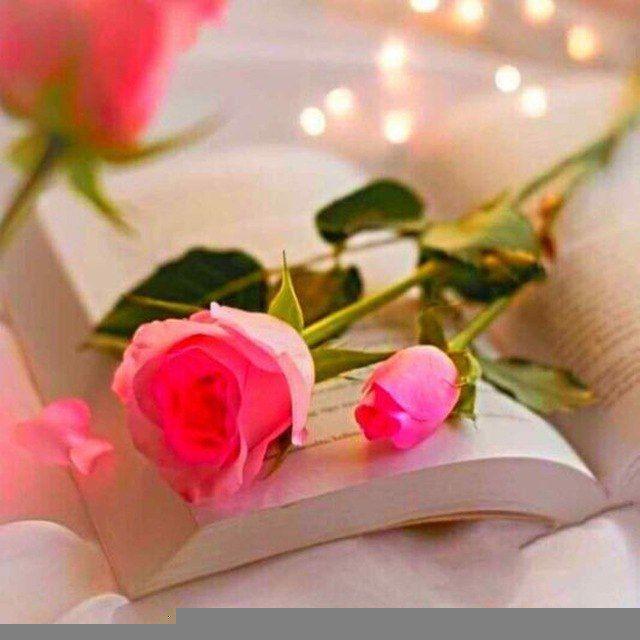 🌷کـاَِفَِهَِ مَِــَِتَِـنَِ وِْمَِـَِوَِزَِیَِڪَ🌷