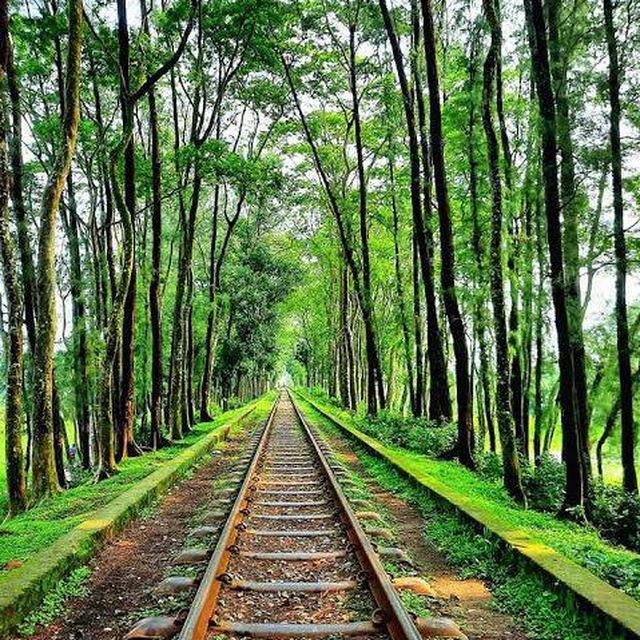 🌿 প্রাকৃতিক দৃশ্য 🌿