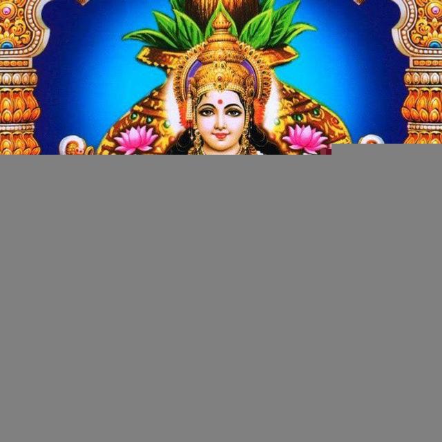 DHAN LAXMI MATKA