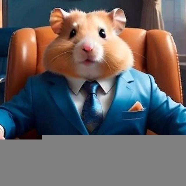 ایردراپز همستر | Airdrops hamster