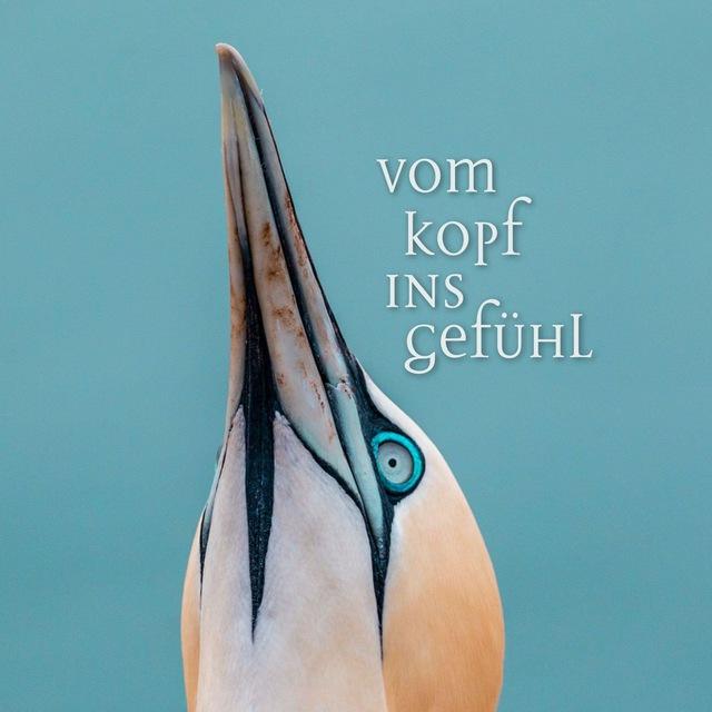 VOM KOPF INS GEFÜHL Kanal