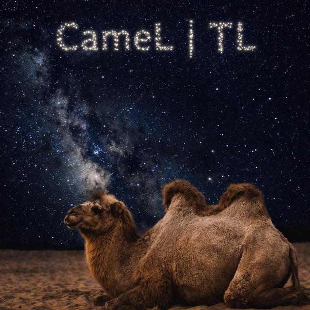 CameL|TL🐫