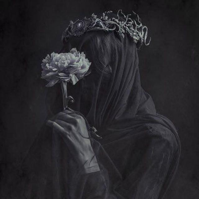 اشعار العصور الجاهلية شعر بالفصحى المتنبي البحتري ابي تمام اشعار ستوريات صور اغاني غزليات