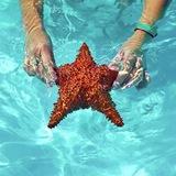 monsonova_turagent