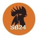 KK5555038(EZ)11