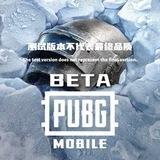 BETA PUBG 更新推送