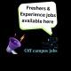Freshers and Experience jobs