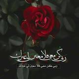 اناشيد اسلاميه بدون موسيقى
