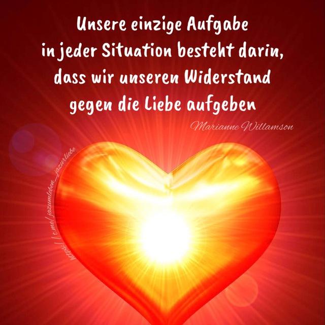 💚 JA zum Leben 🌈🐬 JA zur Liebe ❤️